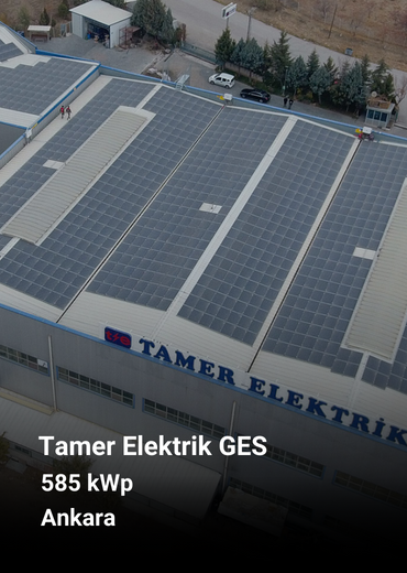 tamerelektrikges