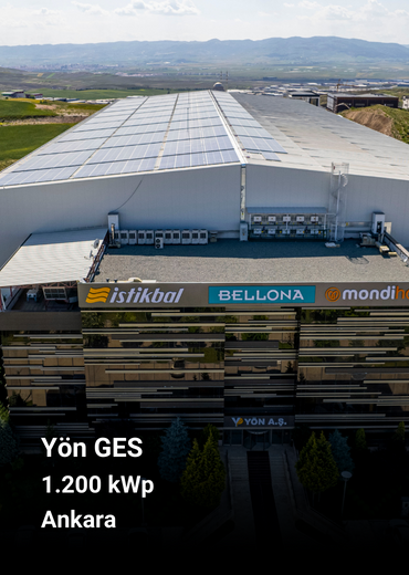 yon (1)